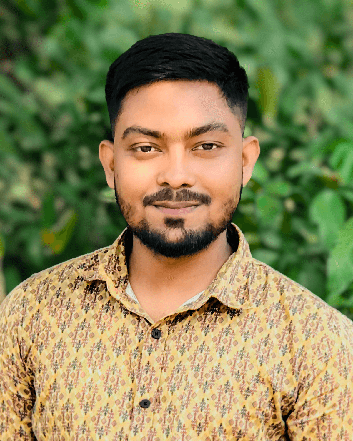 About picture